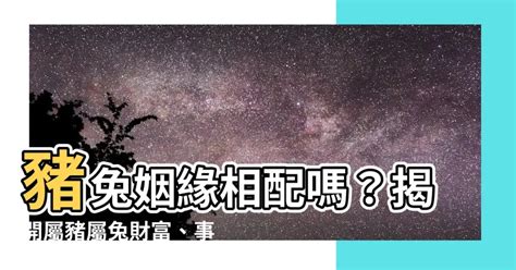 豬和兔合嗎|【豬和兔合嗎】屬豬和屬兔真的配嗎？婚配解析、愛情秘訣一次。